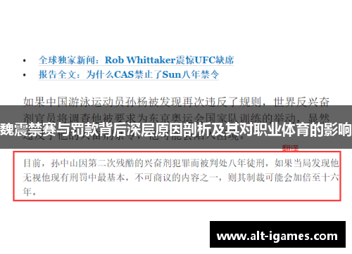 魏震禁赛与罚款背后深层原因剖析及其对职业体育的影响